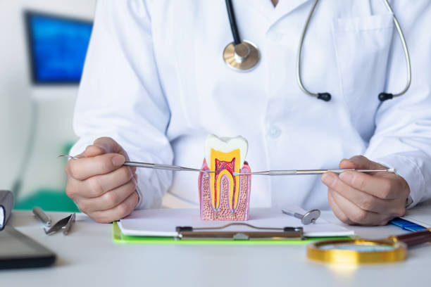 Best Weekend Emergency Dental Services in Troy, MO